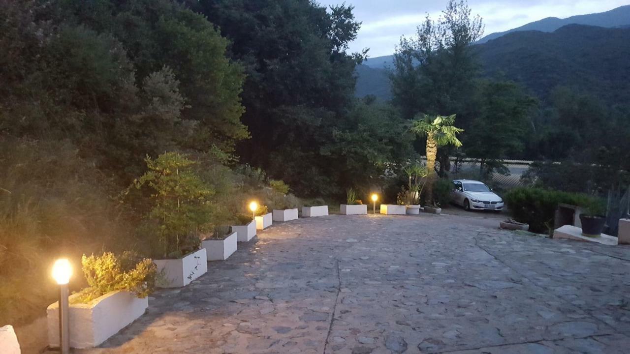Villa Mas Solar D'En Malcion Amélie-les-Bains-Palalda Exterior foto