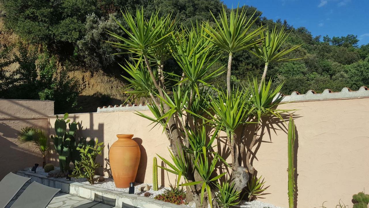 Villa Mas Solar D'En Malcion Amélie-les-Bains-Palalda Exterior foto